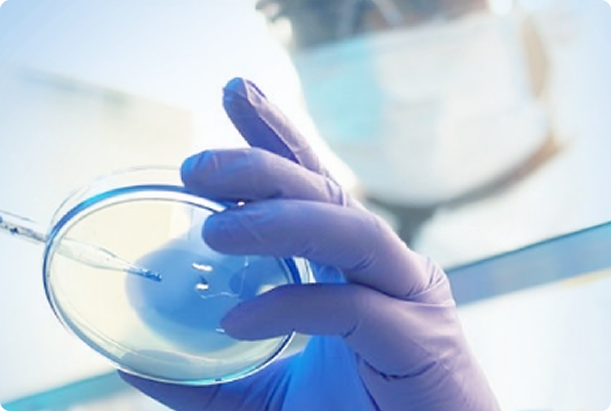 35561b24a7d940bf88eb1fa151262292